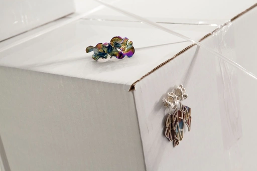 Xiaoyu Zhang (left) and Dongdong Zhuang 